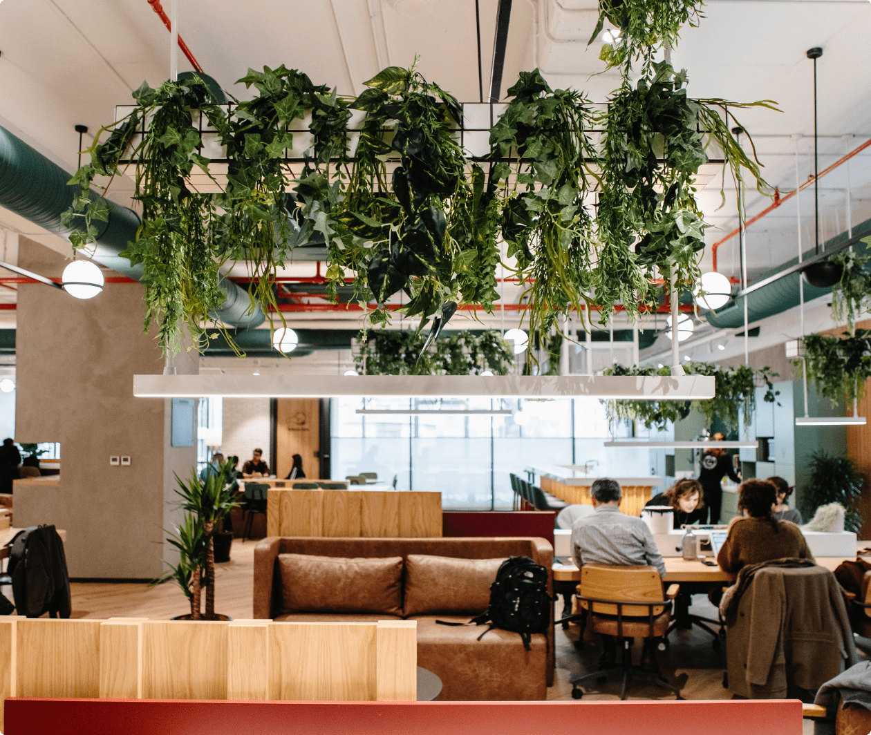 Kolektif House - Nidakule